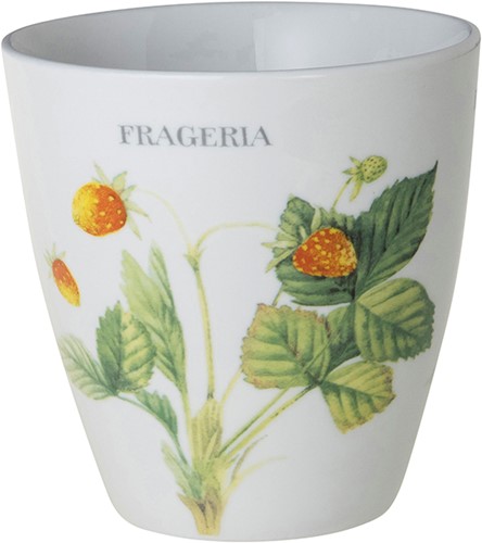 Marjolein Bastin BECHER FRAGARIA      WF M.BASTIN-2