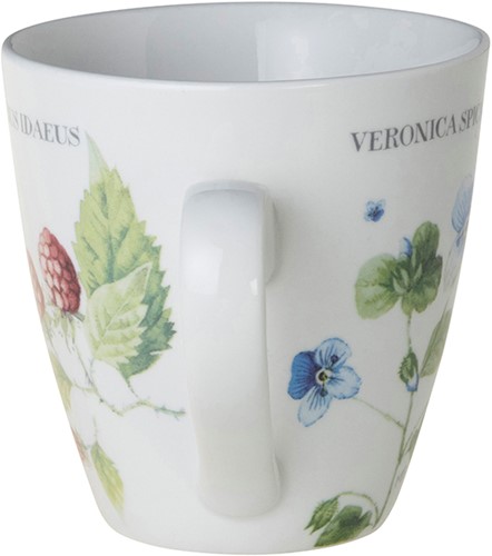Marjolein Bastin BECHER FRAGARIA      WF M.BASTIN-3