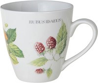 Marjolein Bastin BECHER FRAGARIA      WF M.BASTIN