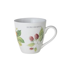 Marjolein Bastin BECHER FRAGARIA      WF M.BASTIN