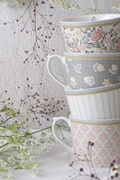 Laura Ashley Giftset 2 Bekers Assorti Streep 30 cl.-4