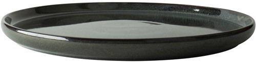Dutch Rose Bord 27 cm Blauw      -2