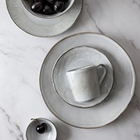 Dutch Rose Set 16 Delig Servies Lichtgrijs-2