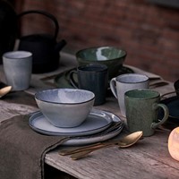 Dutch Rose Set 12 Delig Servies Groen-3