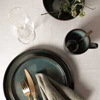 Dutch Rose Set 16 Delig Servies Blauw-3