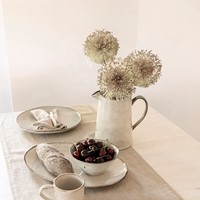 Dutch Rose Kan Creme 1.6 Liter-7