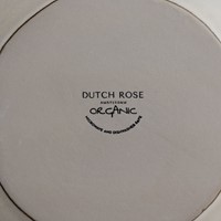 Dutch Rose Giftset 4 Borden 21,5 cm Creme-4