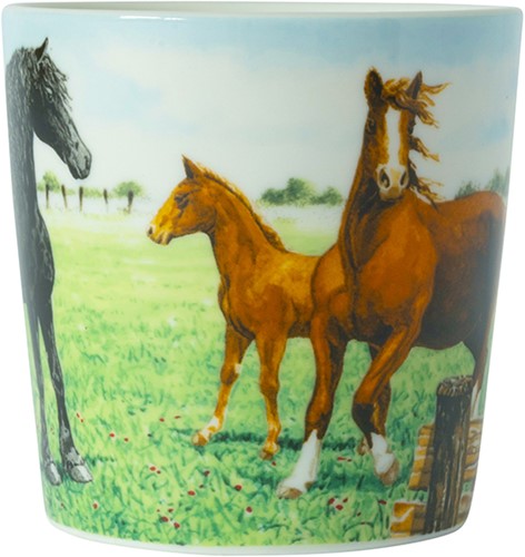 Wiebe van der Zee Minimok Paard 23 cl.-2