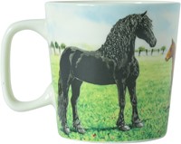 Wiebe van der Zee Minimok Paard 23 cl.-3