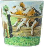 Wiebe van der Zee Minimok Varken 23 cl.-2