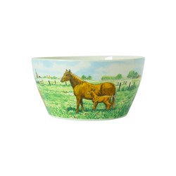 Wiebe van der Zee Kom 13 cm Paard