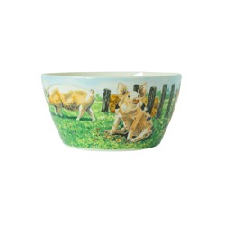 Wiebe van der Zee Bowl Pig 13 cm 