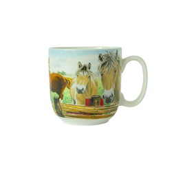 Wiebe van der Zee Beker XL Paard 41 cl.