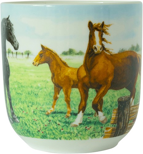 Wiebe van der Zee Beker XL Paard 41 cl.-2