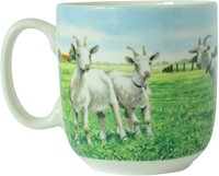 Wiebe van der Zee Beker XL Geit 41 cl.-3