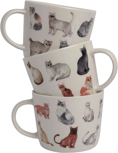 Dutch Floral Giftset 3 Bekers Laag Katten Kleur 32 cl.