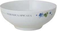 Marjolein Bastin Schale 13 Veronica