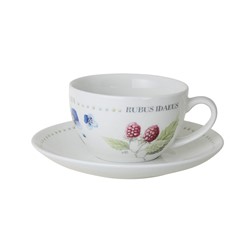 Marjolein Bastin Cup and Saucer 22 cl.