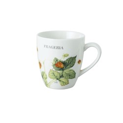 Marjolein Bastin Minimok Fragaria 20 cl.