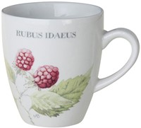 Marjolein Bastin BECHER KL. VERONICA  WF M.BASTIN