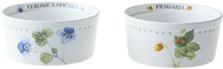 Marjolein Bastin PP2   SET/2 OFENSCHALE 9,5 WF M.BASTIN