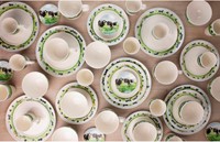 Wiebe van der Zee Set 42 Delig Servies 6 Persoons Nieuwe Buren-3